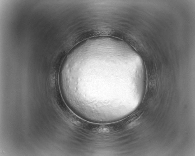 X0000073840647200608311936