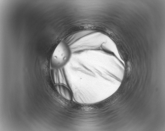 X0000073840650200608311936