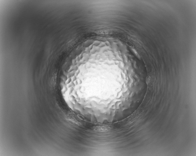 X0000073840652200608311936