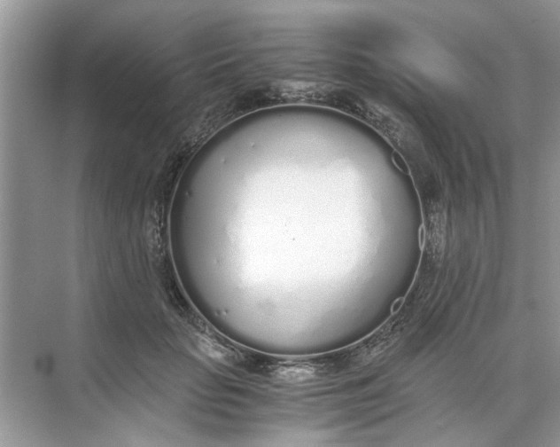 X0000073840653200608311936