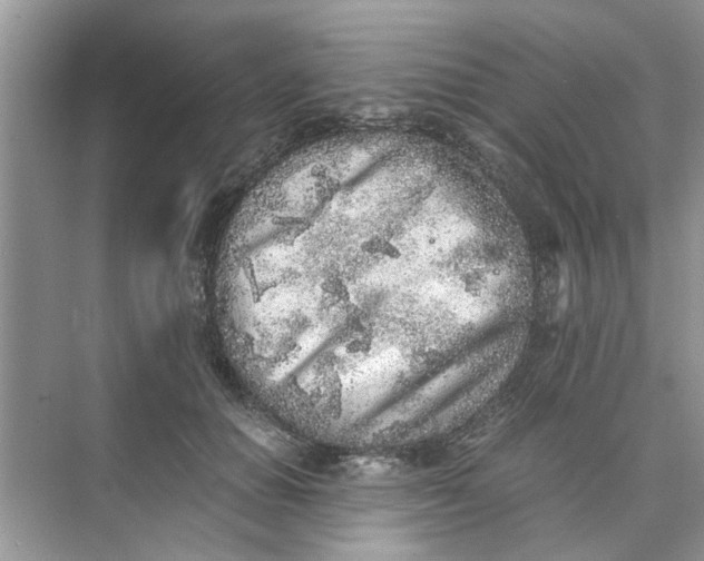 X0000073840654200608311936