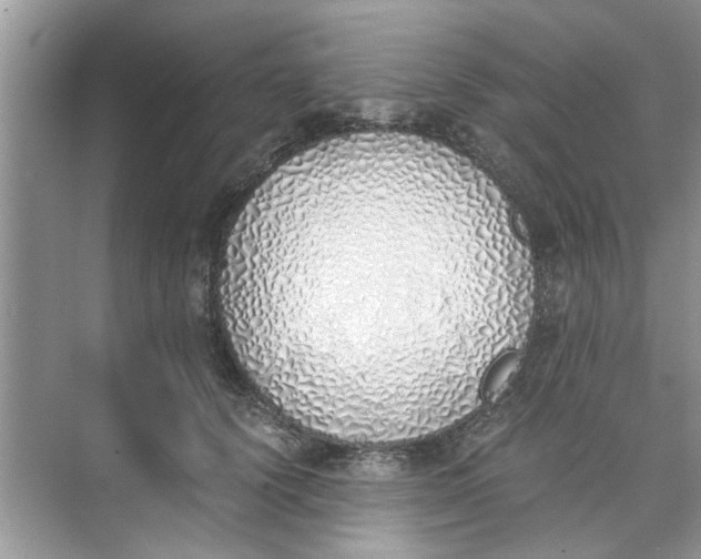 X0000073840656200608311936