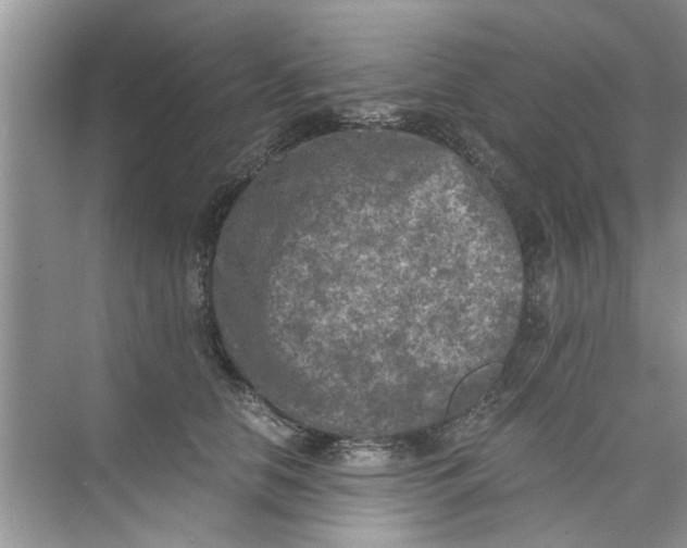 X0000073840658200608311936