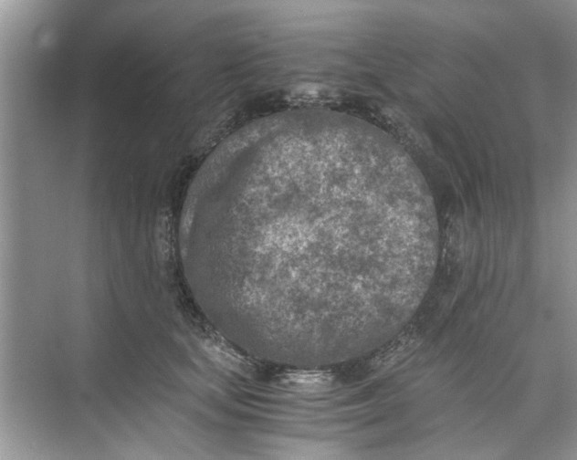 X0000073840659200608311936