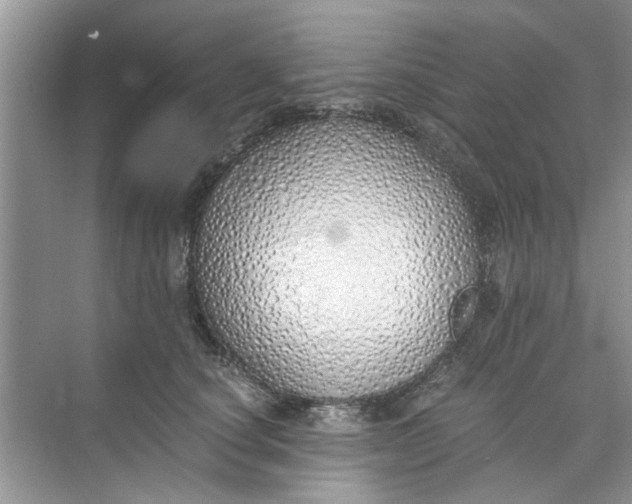 X0000073840660200608311936