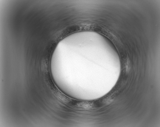 X0000073840661200608311936