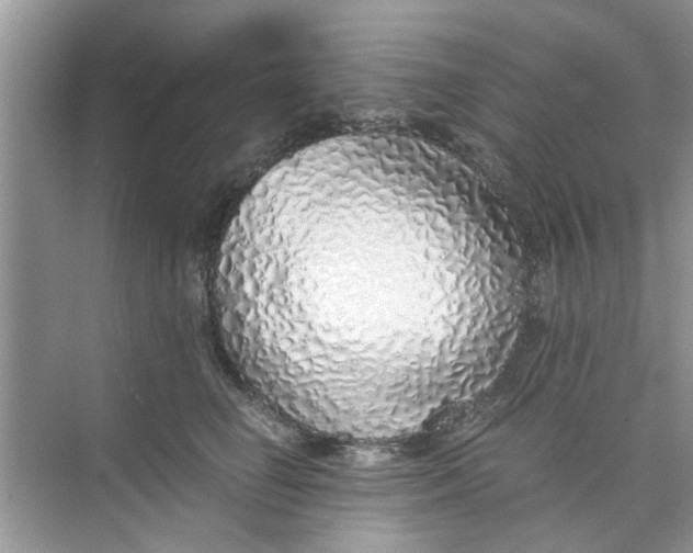 X0000073840662200608311936