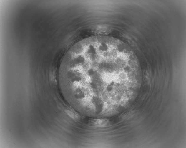 X0000073840663200608311936