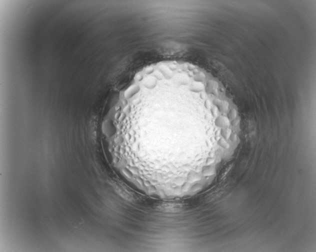 X0000073840664200608311936