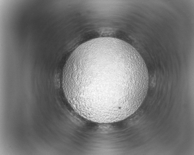 X0000073840666200608311936