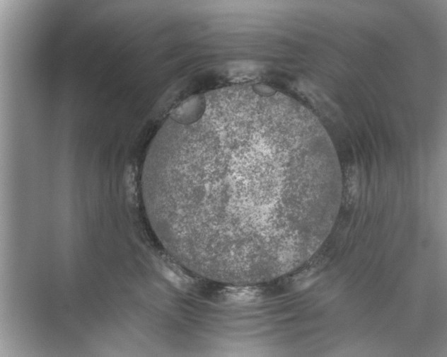 X0000073840667200608311936