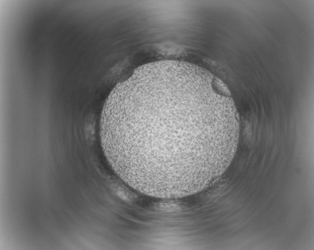 X0000073840668200608311936