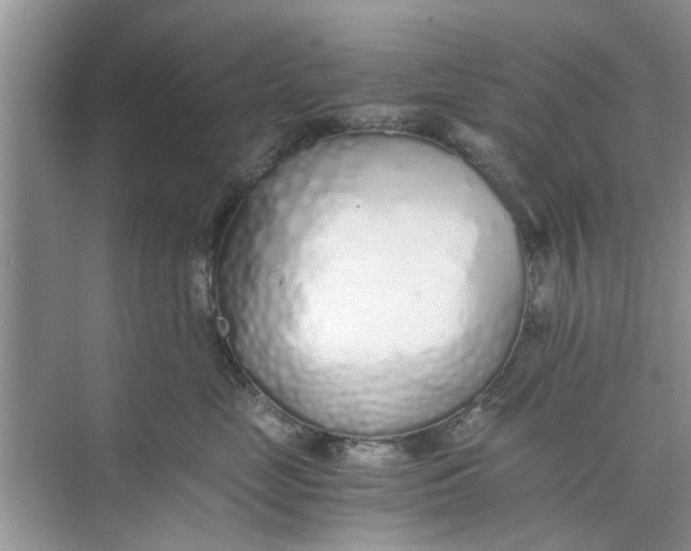 X0000073840669200608311936