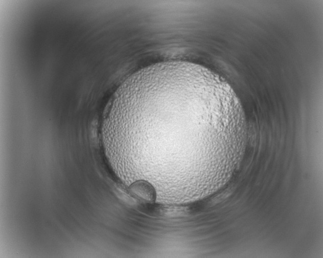 X0000073840670200608311936