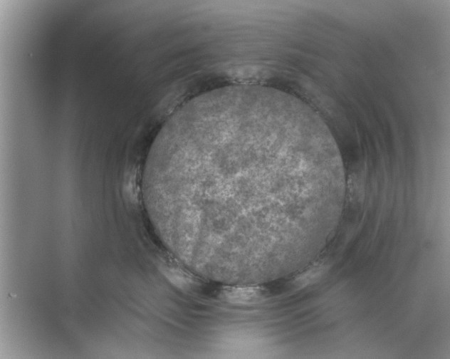 X0000073840671200608311936