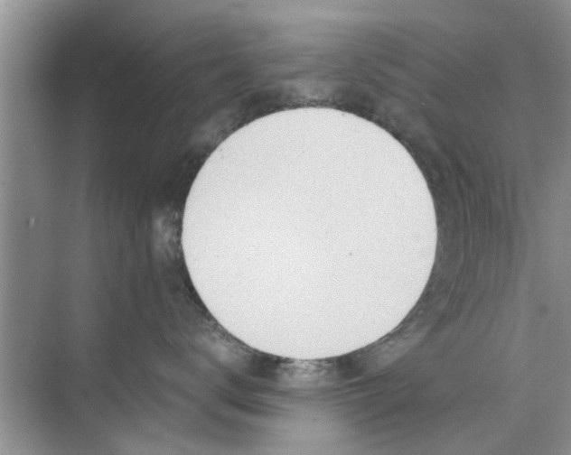 X0000073840672200608311936