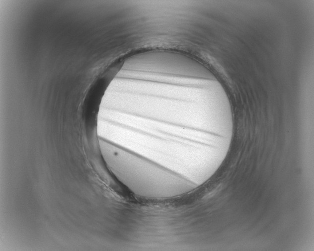 X0000073840673200608311935