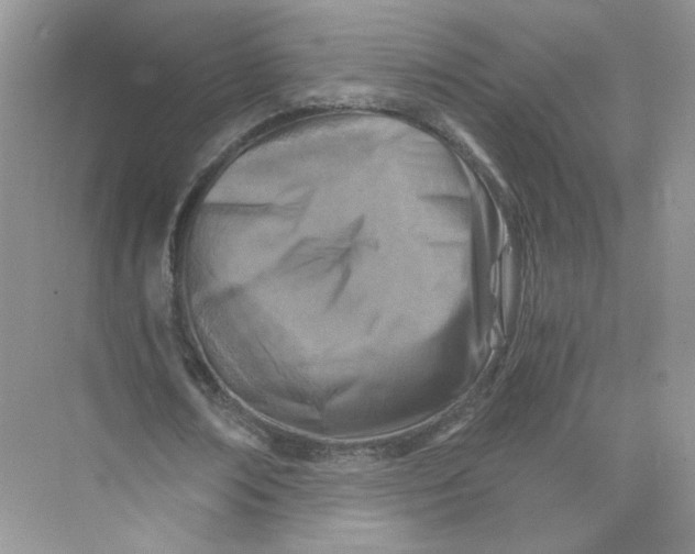 X0000073840674200608311935