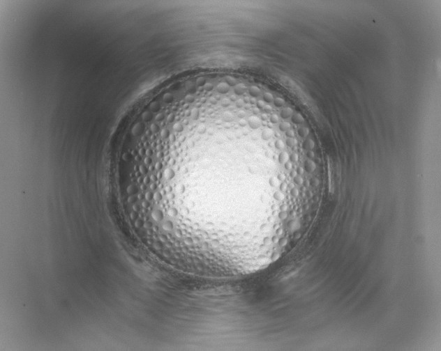 X0000073840675200608311935