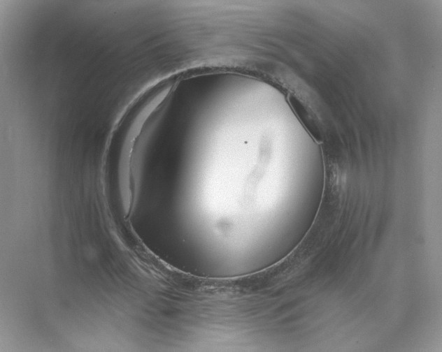 X0000073840676200608311935