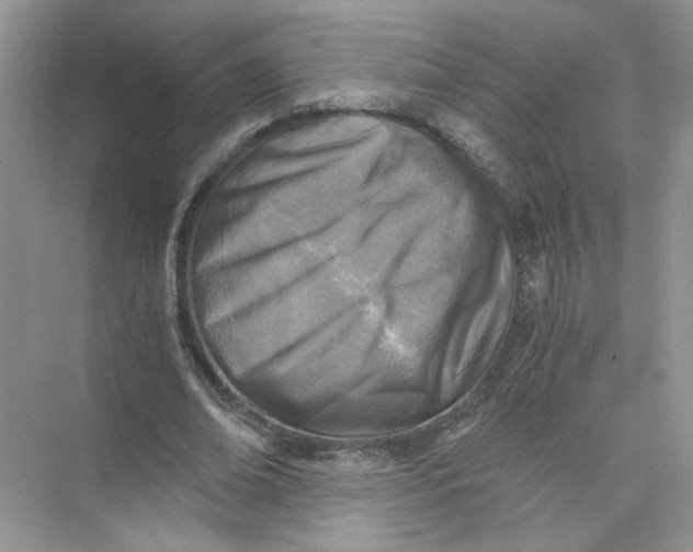 X0000073840678200608311935