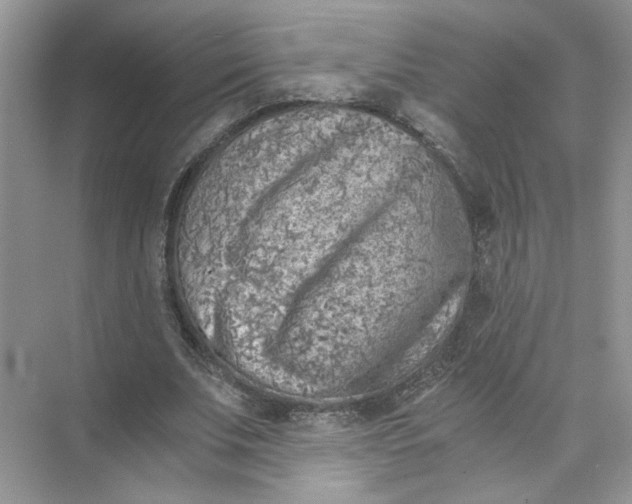 X0000073840679200608311935