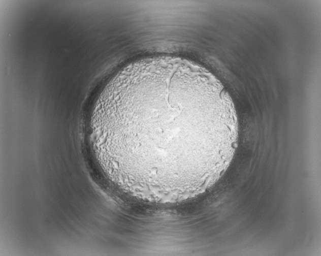 X0000073840683200608311935