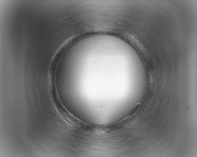 X0000073840684200608311935