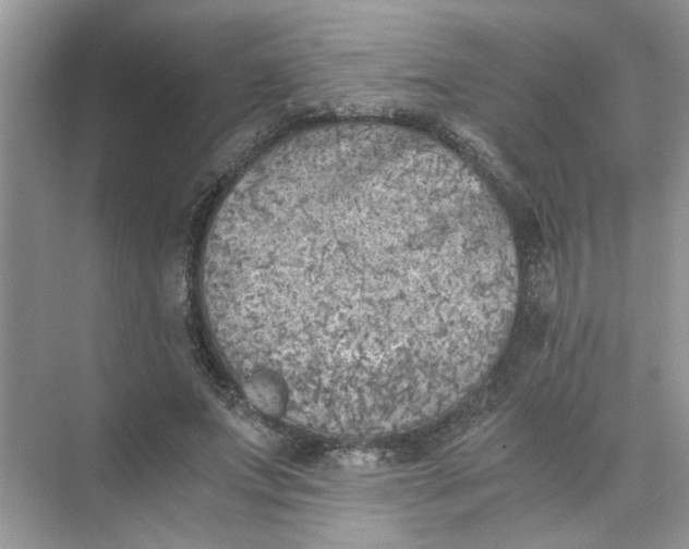 X0000073840687200608311935