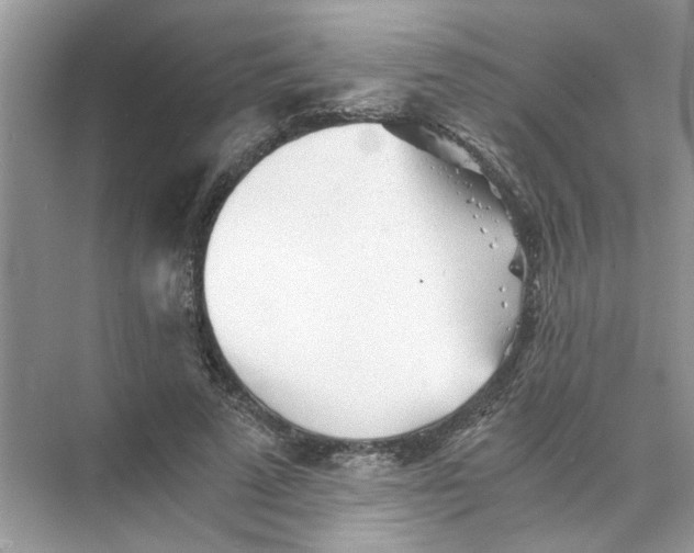 X0000073840689200608311935