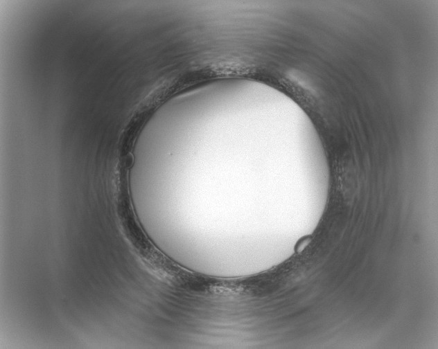 X0000073840690200608311935