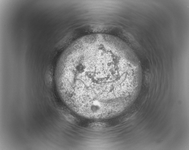 X0000073840691200608311935