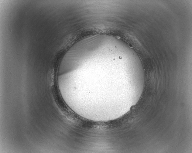 X0000073840694200608311935