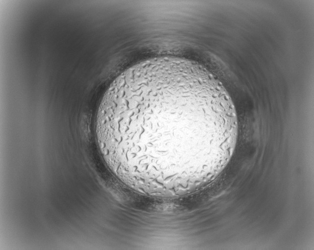 X0000073840695200608311935