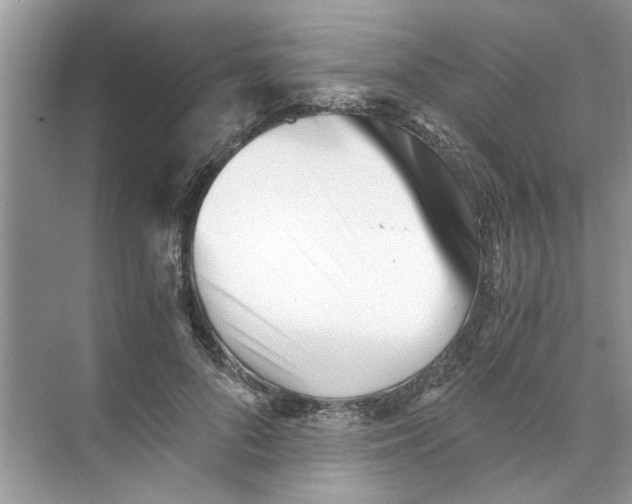 X0000073840696200608311935