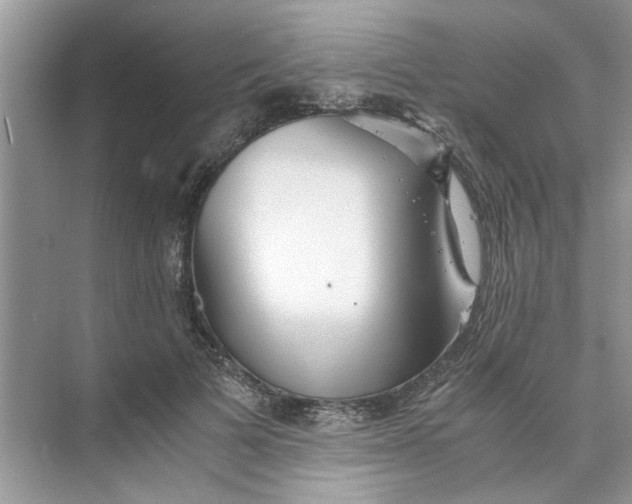 X0000073840697200608311935