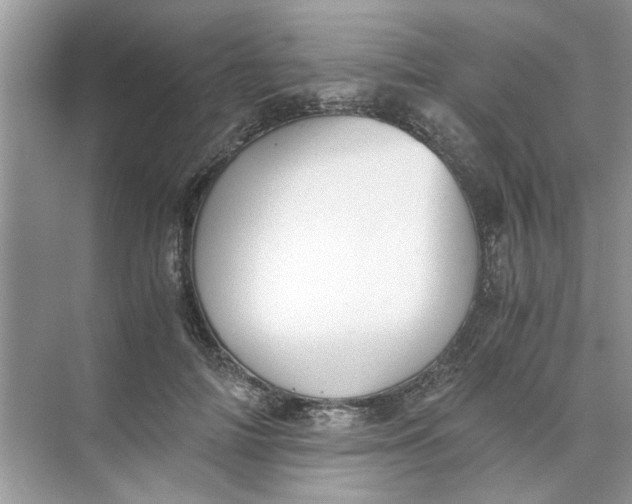 X0000073840698200608311935