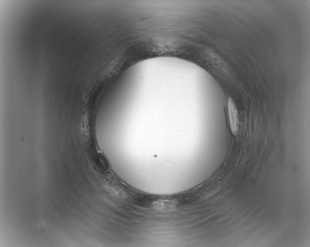 X0000073840700200608311935