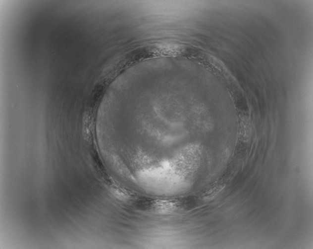 X0000073840701200608311935