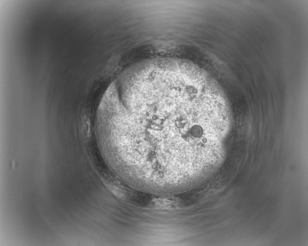 X0000073840703200608311935