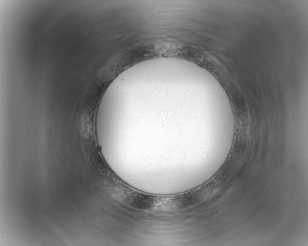 X0000073840705200608311935