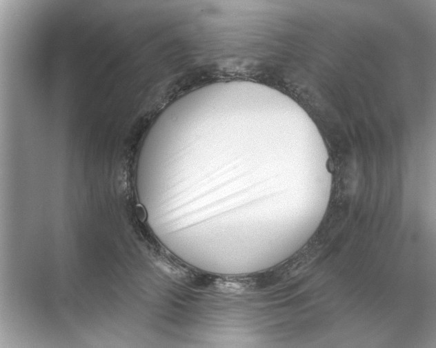 X0000073840706200608311935