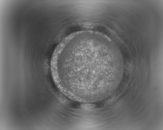 X0000073840707200608311935