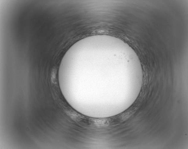 X0000073840709200608311935