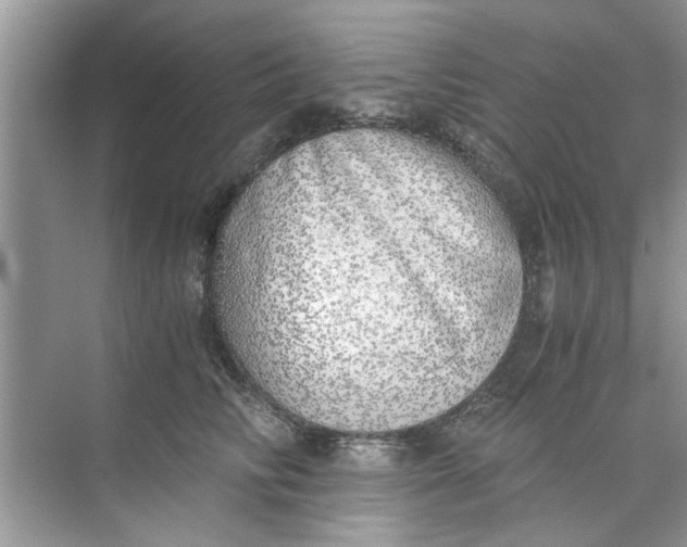 X0000073840710200608311935