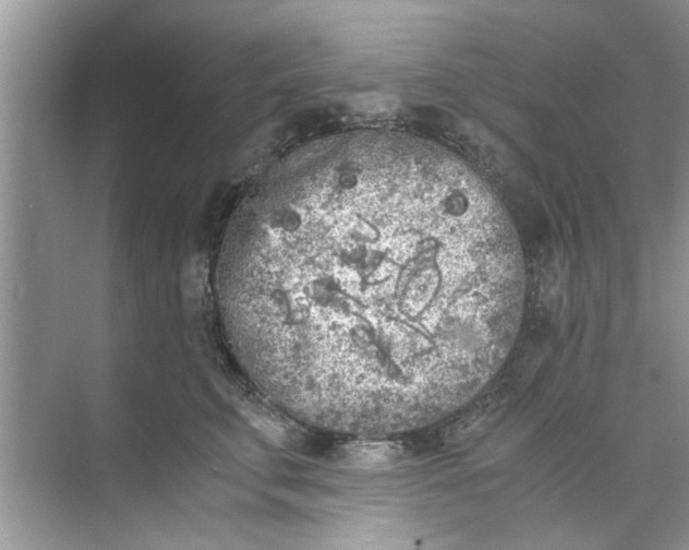 X0000073840711200608311935