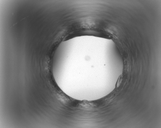 X0000073840712200608311935