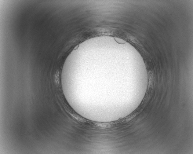 X0000073840713200608311935