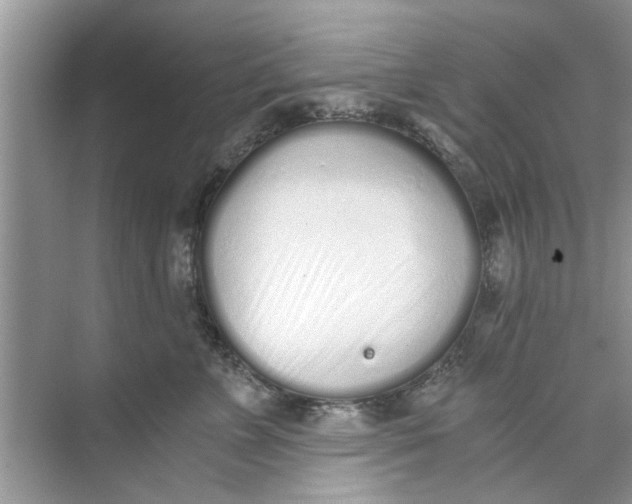 X0000073840715200608311935