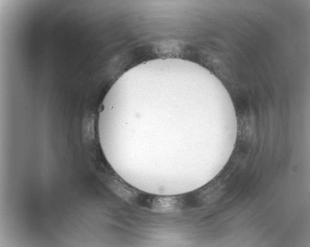 X0000073840717200608311935